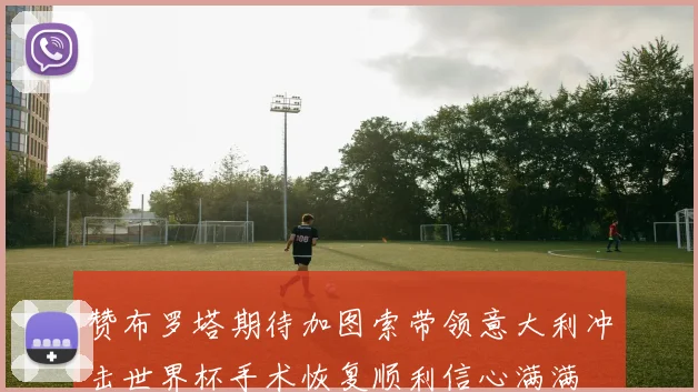 赞布罗塔期待加图索带领意大利冲击世界杯手术恢复顺利信心满满